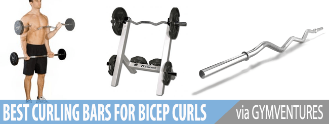 Best curl bar discount workouts